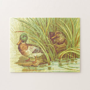 Vejam, Dois Patos Perto De Um Quebra-cabeça De Águ