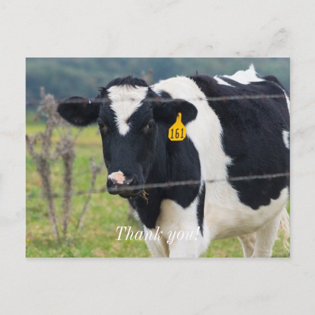 Vejo Você Obrigado Cartão Postal (Frente)