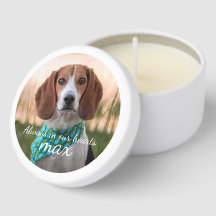 Vela Comemorativa Beagle – Nome e Anos Personaliza