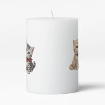 Vela de Gatos Fofos