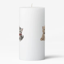 Vela de Gatos Fofos