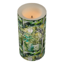 Vela-"Perdida na floresta"