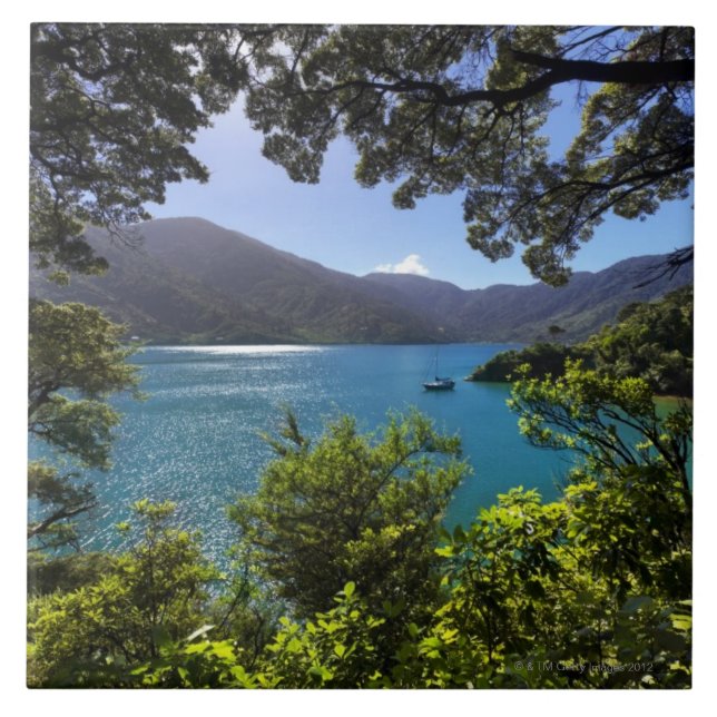 veleiro na distância (Frente)