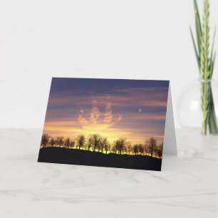 Veleja o Cartão do Céu Noturno