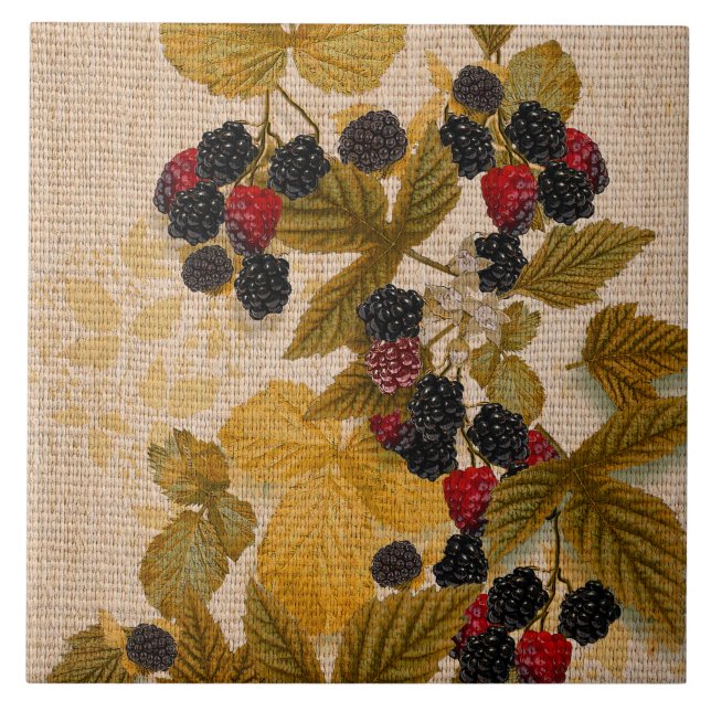 Velha Creton da Fazenda de Old Nilsson (Frente)