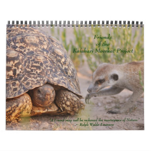 Velhos amigos, amigos novos - calendário 2011 de