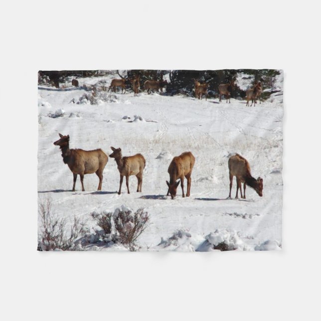 Velo Alce em cobertor de flanela de neve (Frente (Horizontal))