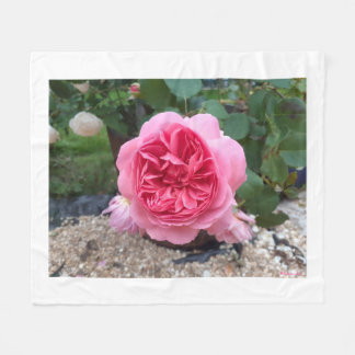 Velo Cobertor de Fleece Floral Rosa Country Rose