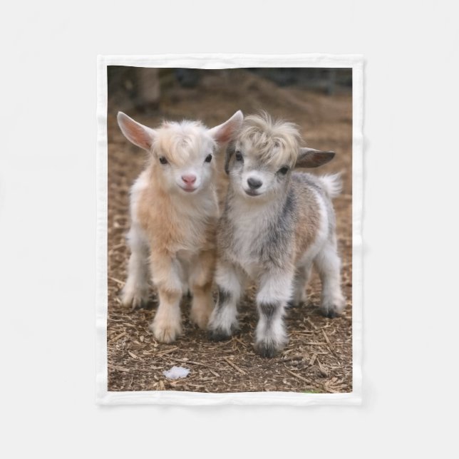 Velo Cobertor de Fraldas de Cabras Bebês Animais da Faz (Frente)
