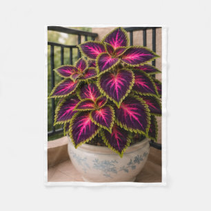 Velo Cobertor de Planta Coleus Roxo ADOM em Vaso
