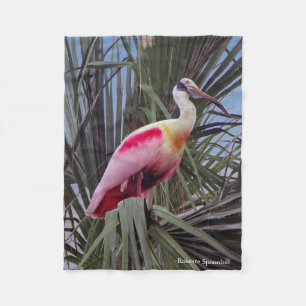 Velo cobertor de velinha de roseate Spoonbill