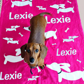 Velo Cobertor Personalizado de Dachshund Rosa Presente
