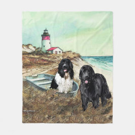 Velo Dois novatos e um cobertor de bordo