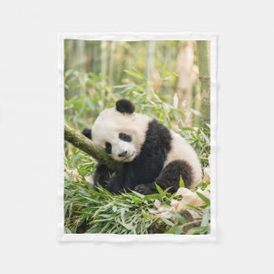 Velo Panda Adormecido em Cobertor de Bambu