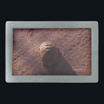 Velocidade<br><div class="desc">Speed Bump Nature Foto impressões e presentes apresentam uma fotografia divertida de uma tartaruga no meio da estrada, seu padrão de conchas que corresponde aos das trilhas de jipe na estrada de terra tirada por Kurt Keller com uma câmera de 35 mm enquanto está em um safari africano em Botswana,...</div>