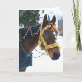 Vencedor do cartão de Natal 2005 da OMRH