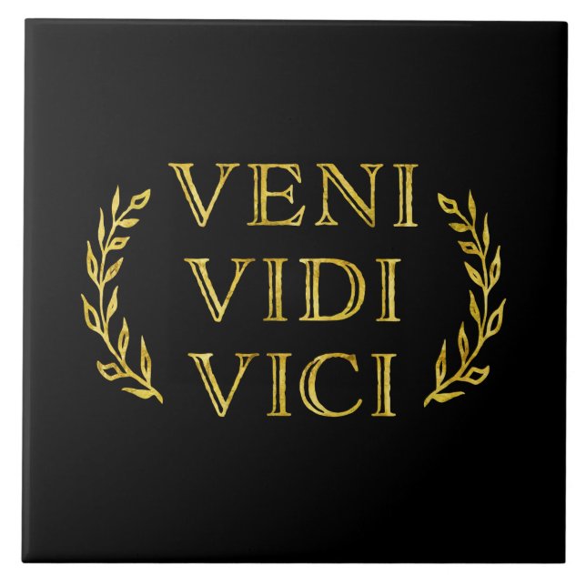 Vencedor engraçado do jogo de Veni Vidi Vici (Frente)