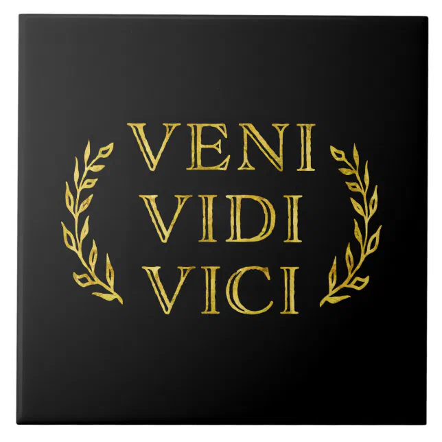 Vencedor engraçado do jogo de Veni Vidi Vici
