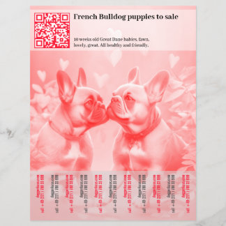 Venda de filhotes de Frenchie Design Flyer