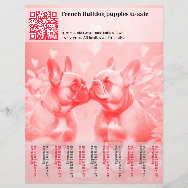 Venda de filhotes de Frenchie Design Flyer (Frente)