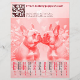 Venda de filhotes de Frenchie Design Flyer
