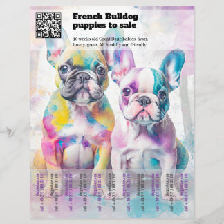 Venda de filhotes de Frenchie Design Flyer