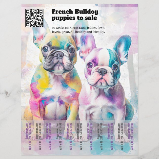 Venda de filhotes de Frenchie Design Flyer (Frente)
