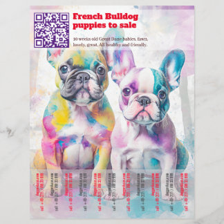 Venda de filhotes de Frenchie Design Flyer
