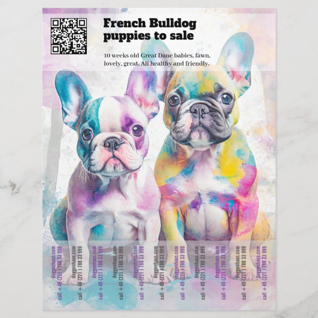 Venda de Filhotes Frenchie Design Flyer (Frente)