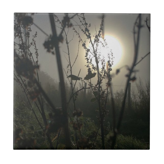 Vendo grande na impressão de fotos pequena (Frente)