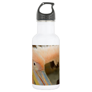 Vendo Uma Garrafa De Liberdade Pelicana