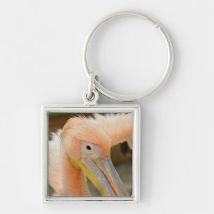 Vendo Você Chaveiro Pelicano