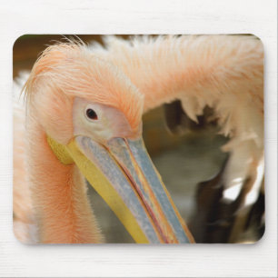 Vendo Você Pelican Mousepad