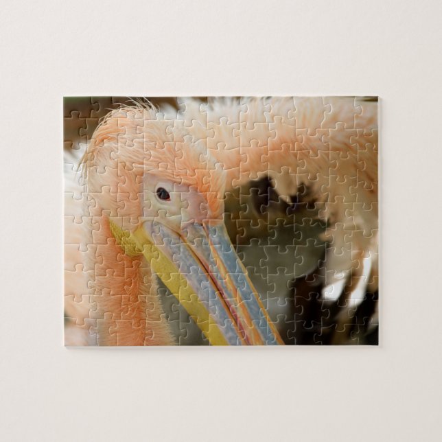 Vendo Você Quebra-cabeça Pelicano (Horizontal)