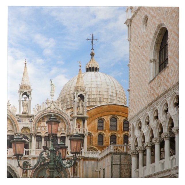 Veneza, Veneto, Itália - As aves estão empoleirada (Frente)