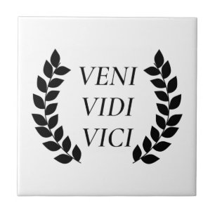 Veni Vidi Vici Eu Vi Que Conquistei