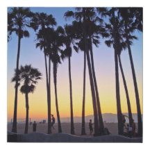 Venice Beach Sunset Palm Tree Slackline