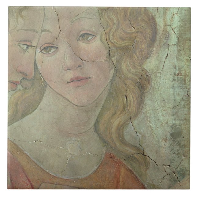 Venus e as três benevolências que oferecem a (Frente)