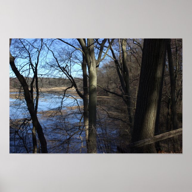 Ver além da Poster das árvores (Frente)