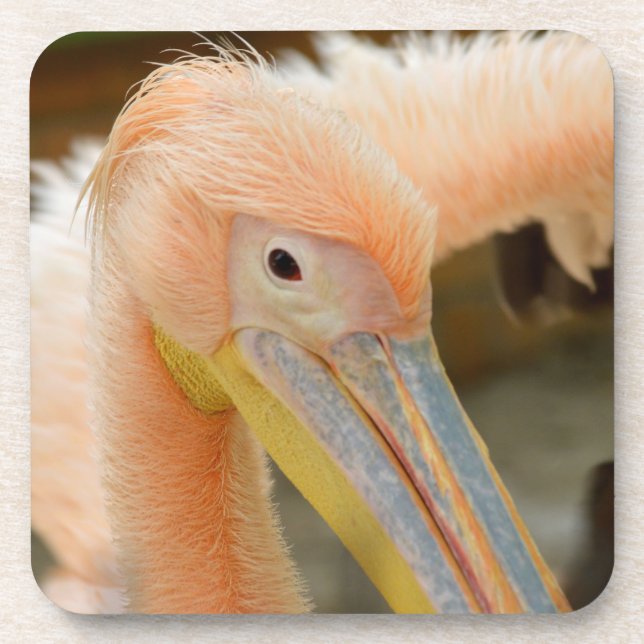 Ver-Te A Porta copos Pelican Cork (Frente)