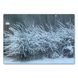 Verbos nevando com asteria, lendo cartões de acess