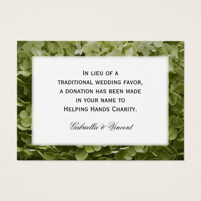 Verde Annabelle Hydrangea Nuptura Favoritos (Frente)