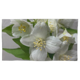 Verde Branco E Cinzas