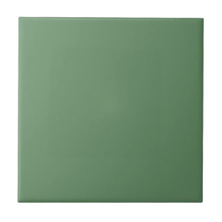 Verde-claro-claro-claro-claro-cor-sólida