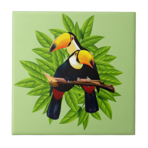 Verde do duo de Toucan