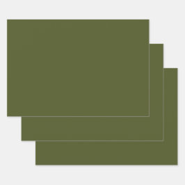 Verde-do-exército (cor sólida)