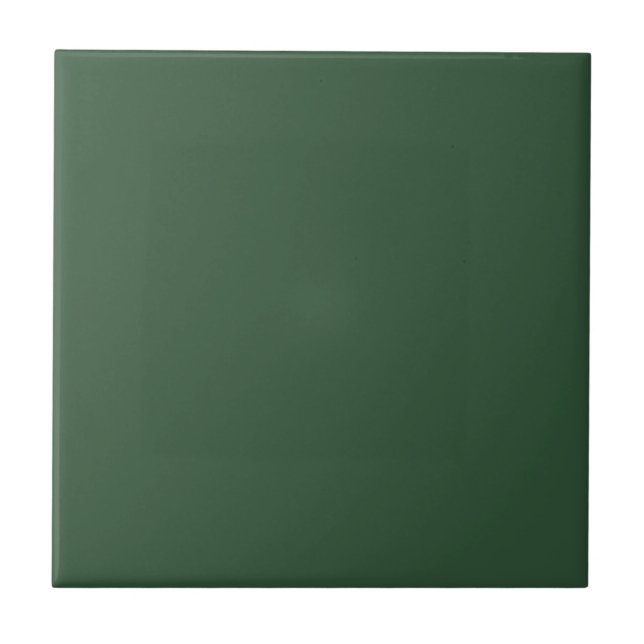 Verde Esmeralda Escuro Cor Sólida (Frente)