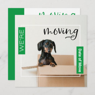 Verde Estamos Movendo o Cão de Dachshund no Cartão