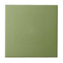 Verde Moss #8a9a5b