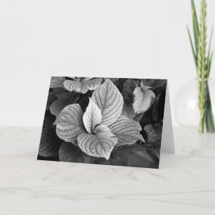 Verdes no Cartão B/W